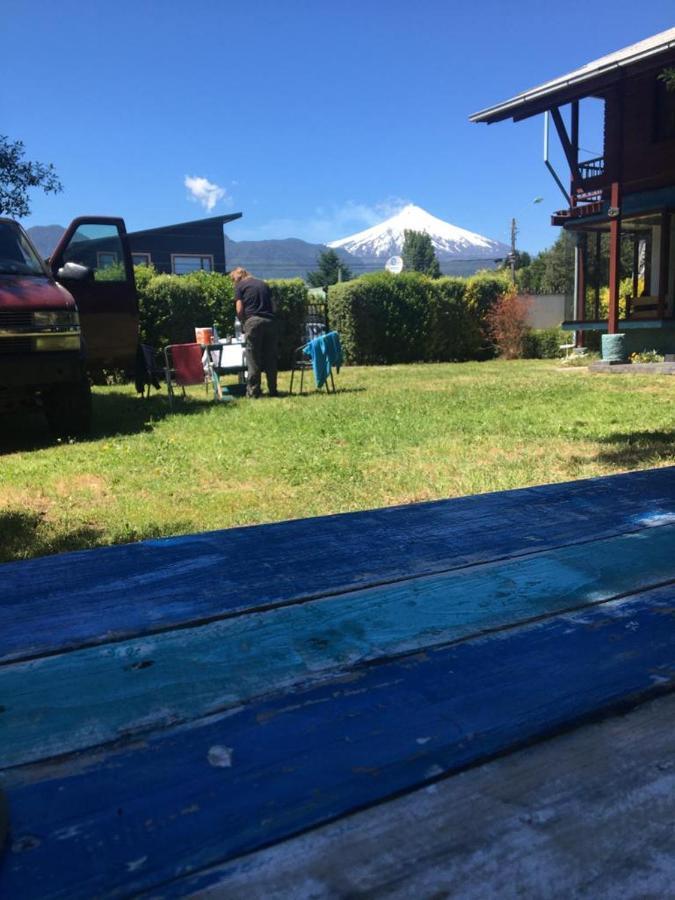 Raiz Pucon