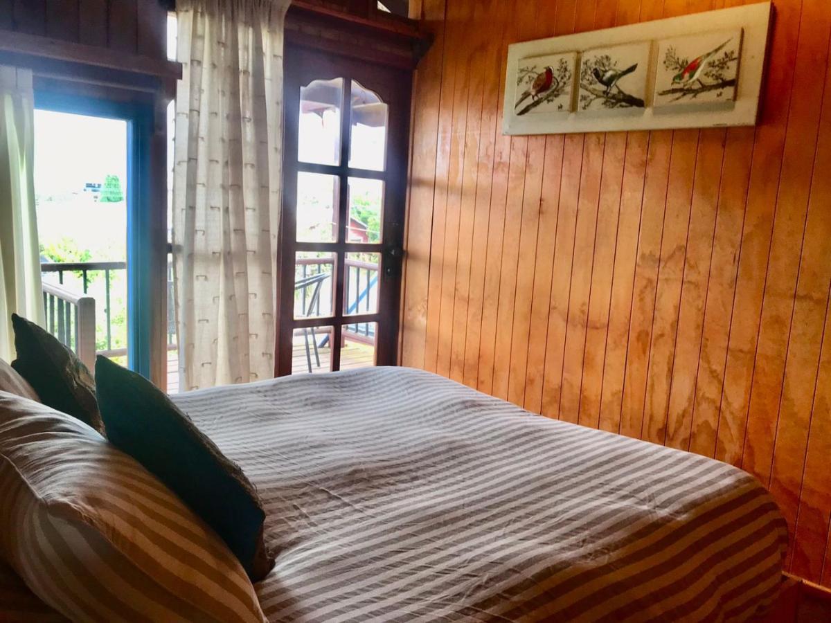Raiz Guest house Pucon